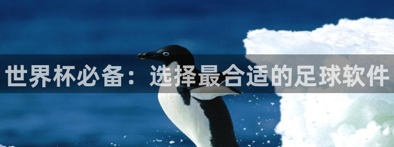 2026世预赛赛程表:世界杯必备:选择最合适的足球软件