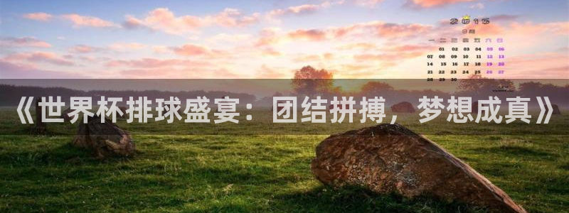 2026世界杯亚洲预选赛:《世界杯排球盛宴:团结拼搏,梦想成真》