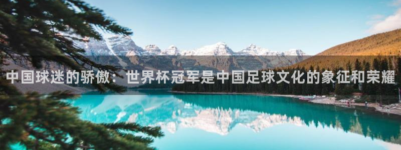 2006年世界杯:中国球迷的骄傲:世界杯冠军是中国足球文化的象征和荣耀
