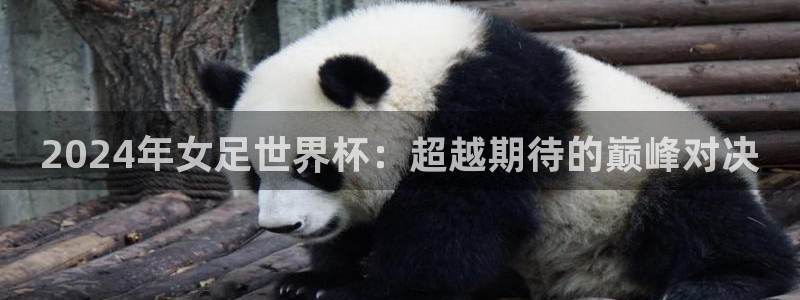 亚洲杯比赛直播:2024年女足世界杯:超越期待的巅峰对决
