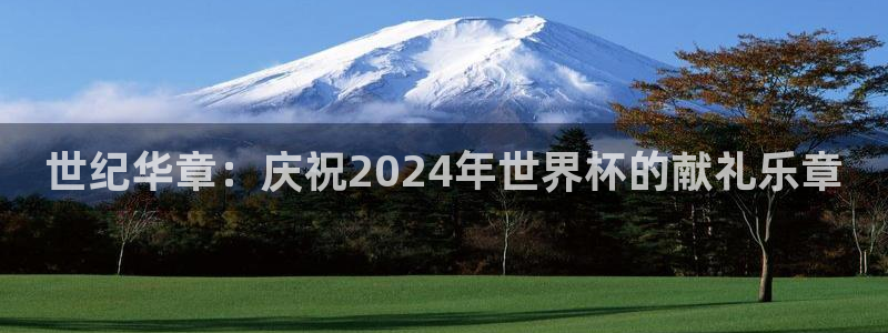 足球比分直播世界杯:世纪华章:庆祝2024年世界杯的献礼乐章