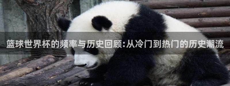 2026世界杯官网:篮球世界杯的频率与历史回顾:从冷门到热门的历史潮流