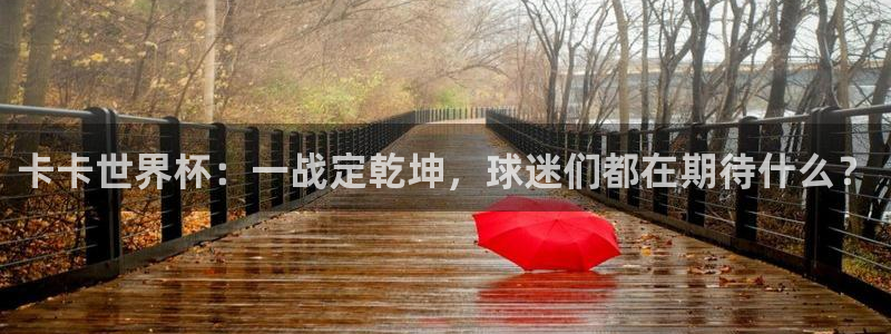 女足世界杯直播:卡卡世界杯:一战定乾坤,球迷们都在期待什么?