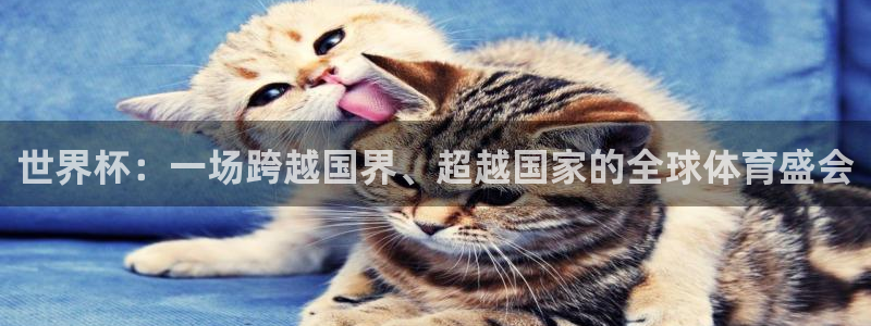 世界杯直播网站:世界杯:一场跨越国界、超越国家的全球体育盛会