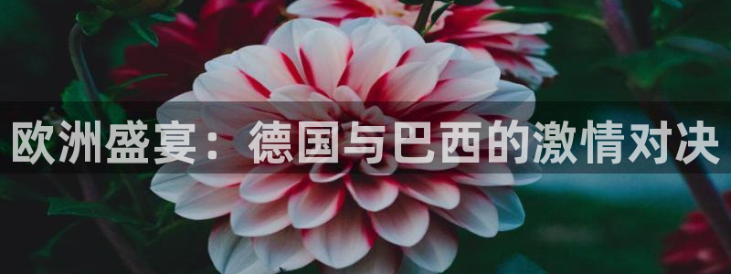 今年的世界杯:欧洲盛宴:德国与巴西的激情对决
