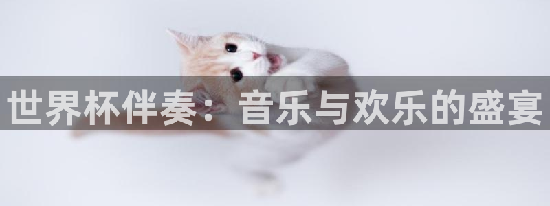 世预赛赛程表:世界杯伴奏:音乐与欢乐的盛宴
