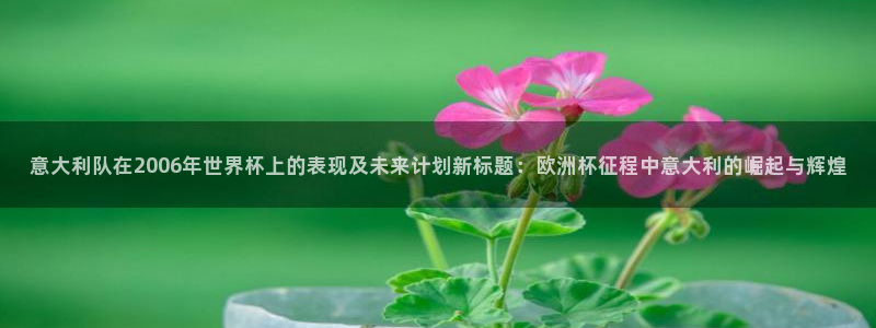 2026年世界杯赛程时间表格:意大利队在2006年世界杯上的表现及未来计划新标题:欧洲杯征程中意大利的崛起与辉煌